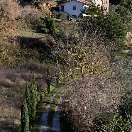 Il Mandorlo * Ficulle