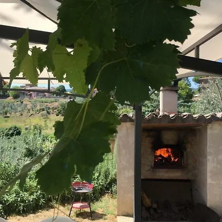 Il Mandorlo * Ficulle