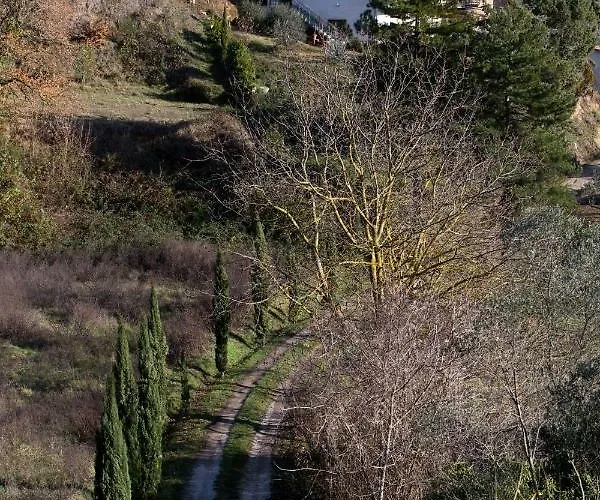 Il Mandorlo * Ficulle