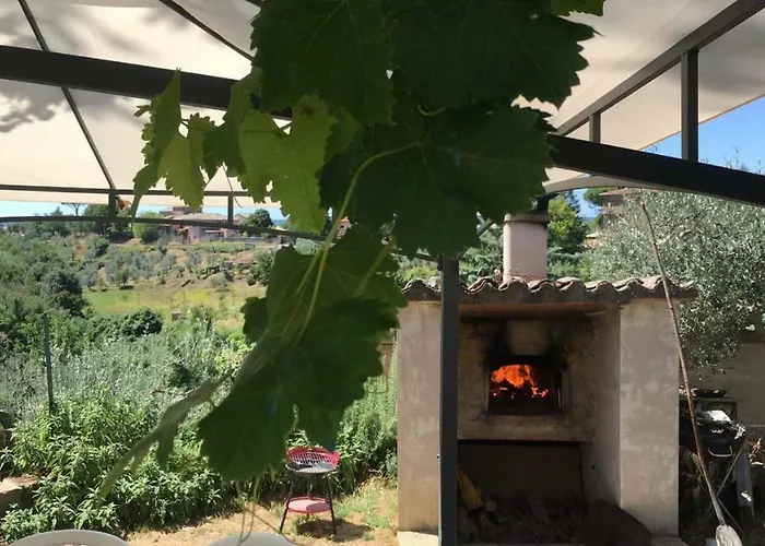 Il Mandorlo * Ficulle